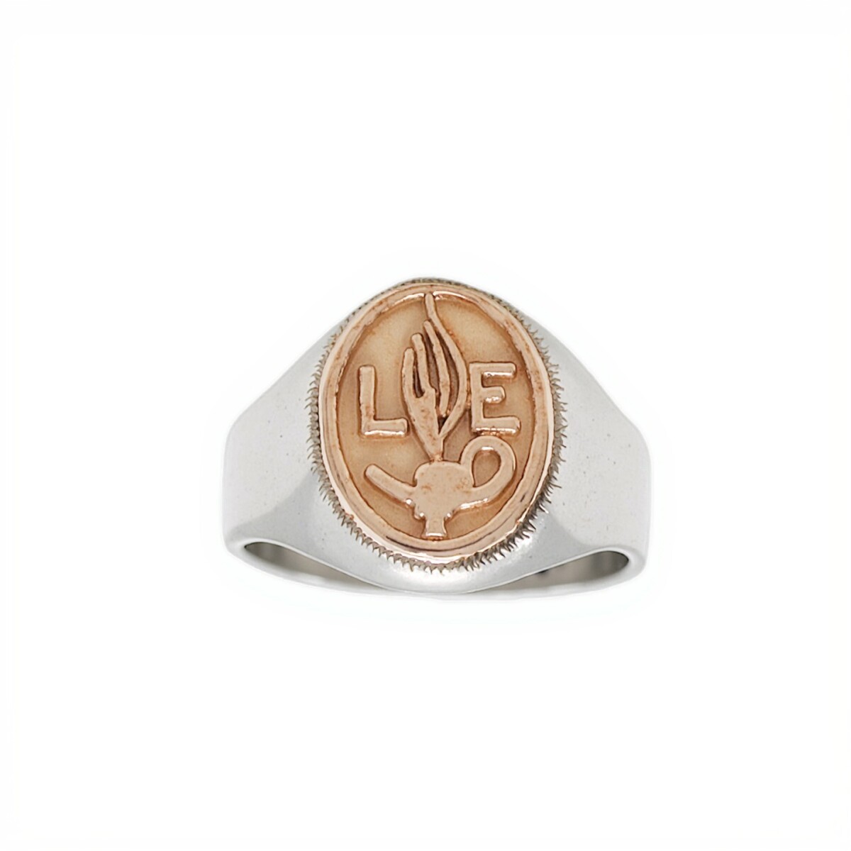 Anillo Profesión Nurse-Plata y Oro-Sin Piedra-AP5008 - sinpiedra 