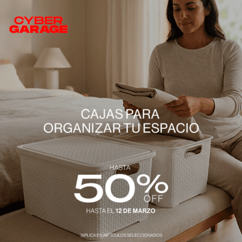 CyberGarage Organizacion