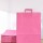Pack x 50 - bolsa lisa 34x17x48 cm FUCSIA
