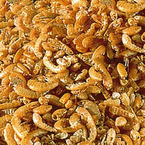Sera Raffy I 130 gr Sera Raffy I 130 gr