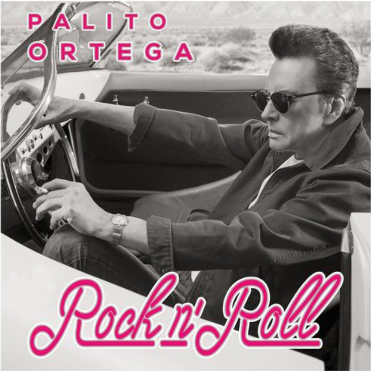 Palito Ortega - Rock N Roll - Vinilo 