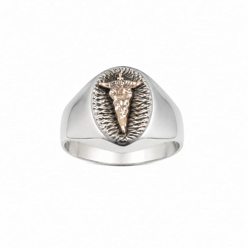 Anillo sello profesión medico Anillo sello profesión medico