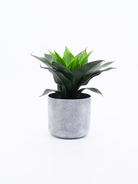 PLANTA CON MACETA VERDE