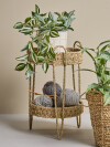 Planta artificial ASGAR A24cm verde Planta artificial ASGAR A24cm verde