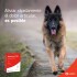 OSTEOCART PLUS X CAJA DE 30 COMPRIMIDOS