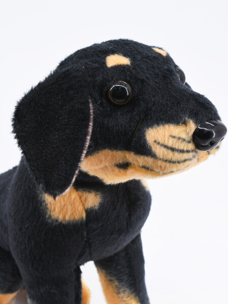 PERRO SIMON NEGRO