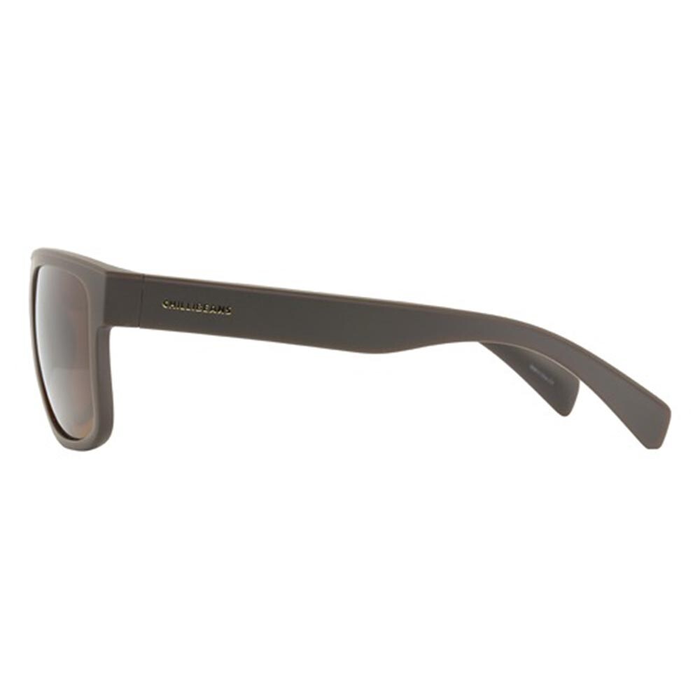 Lentes De Sol Colecao P1 2026 Bossa Nova Marrón/Marrón