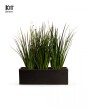 KIT Jardinera "Negro mate" 1m* 30cm* 30cm* con Dietes, Sustratos y cubresuelo
