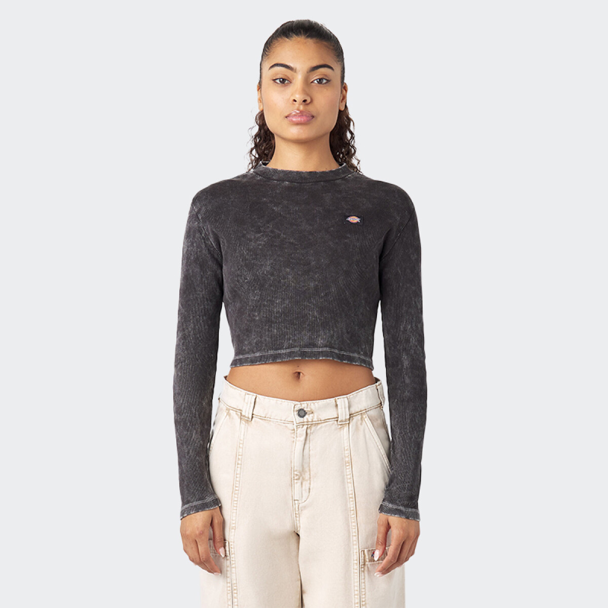 Remera Dickies Newington Long Sleeve T-Shirt - Negro 