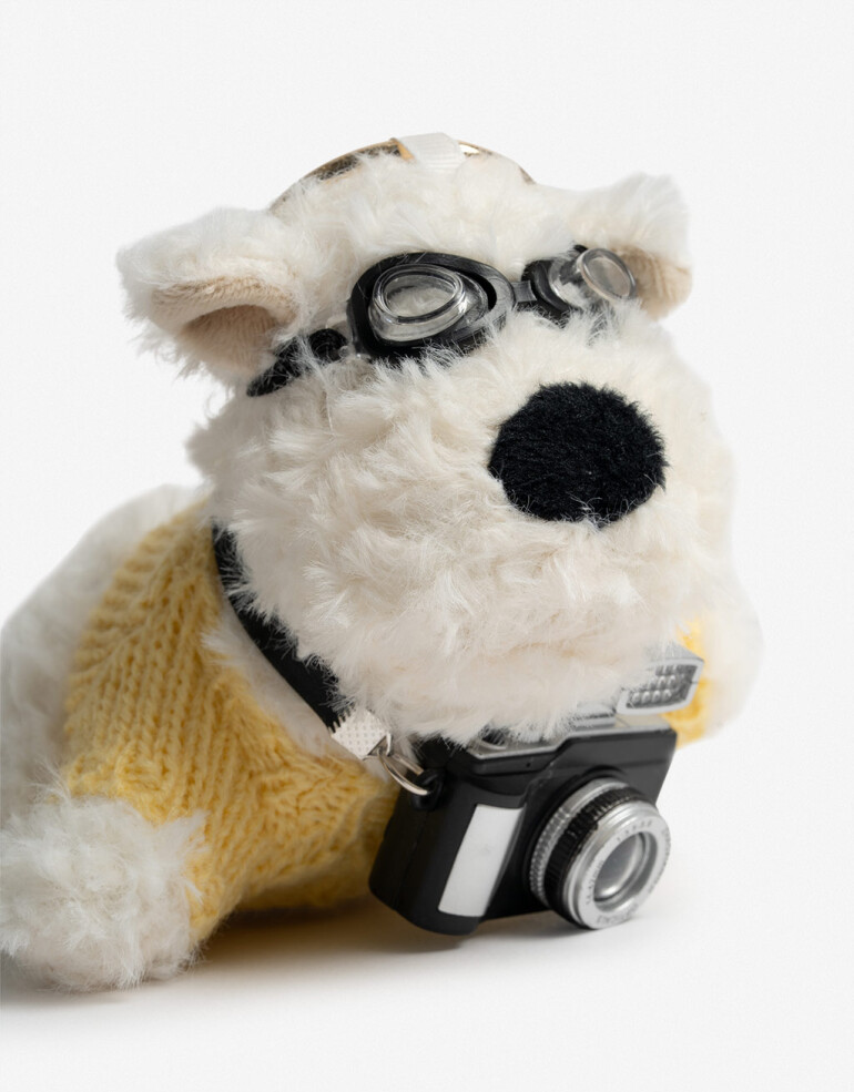 Llavero Cozy Llavero Y Bag Charm Peluche Perrito - Combinacion Multicolor