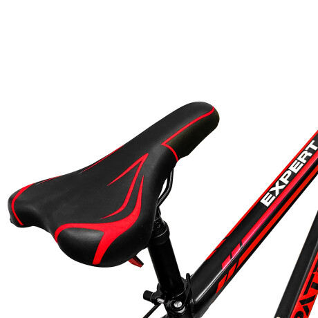 Bicicleta Montaña Expert Patriot Rodado 29 Shimano con Frenos de Disco y 21 Cambios Negro