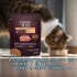 GRAN PLUS EN SALSA GATO TRACTO URINARIO POLLO 85 GR