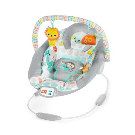 Bouncer Deluxe Whimsical Wild Bright Starts 001