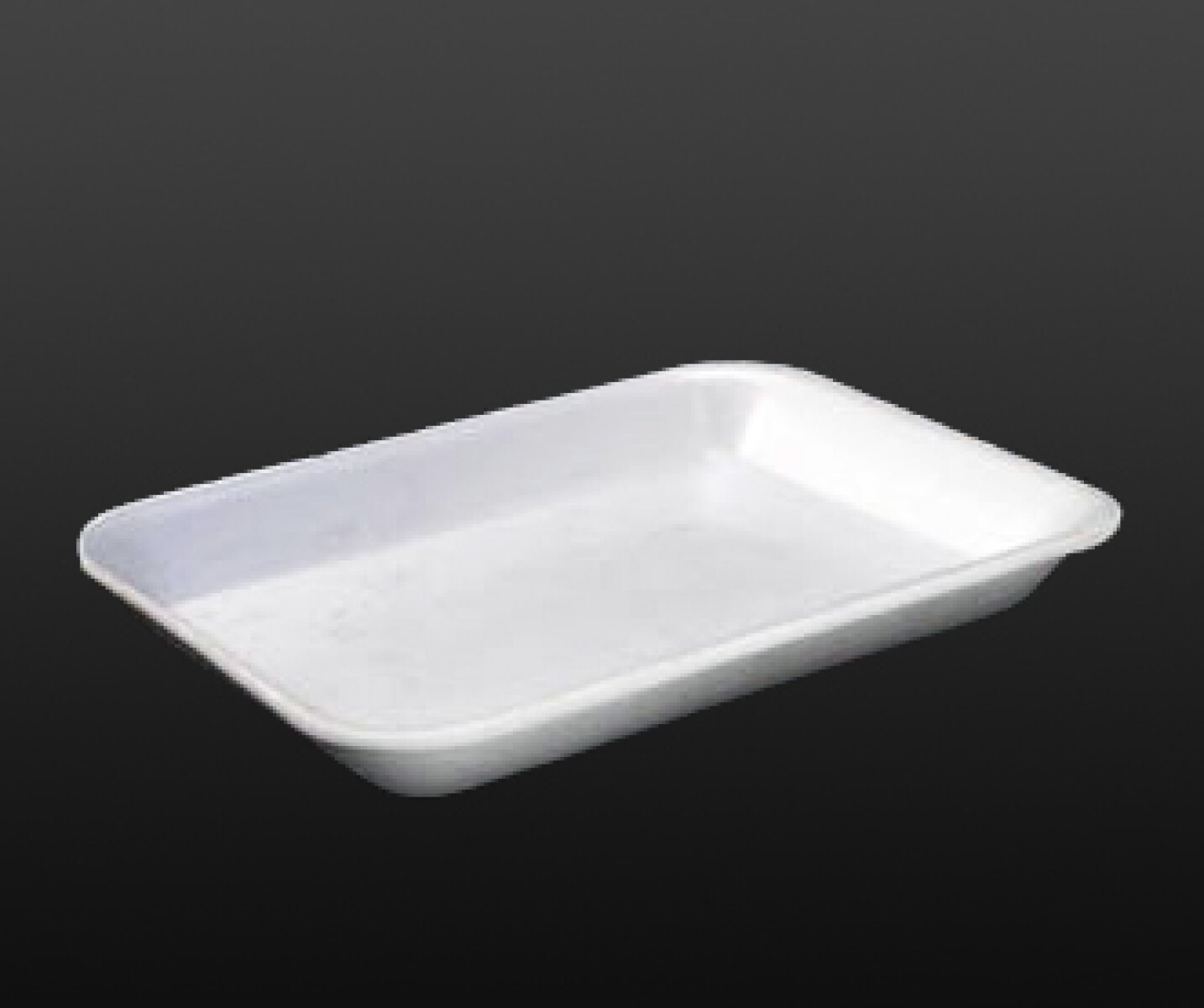 BANDEJA DE ESPUMA BLANCA 29X20X1.8 CM. 