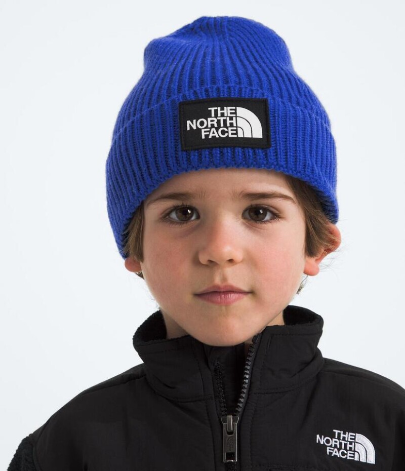 Gorro kids TNF Logo Box Cuffed Beanie Tnf Blue