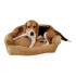 Cama Colchon Mascota Grande Cuadrado L Comodo Lavable Variante Diseño Beige