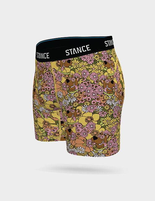 BOXER