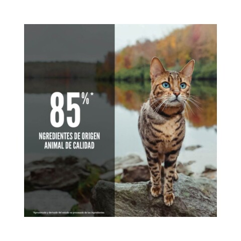 Orijen Six Fish Cat 1,8 kg (4 Lb) Orijen Six Fish Cat 1,8 kg (4 Lb)