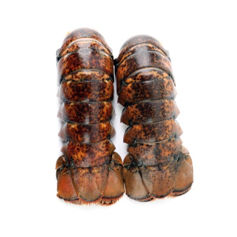 COLA DE LANGOSTA COMUN DEL CARIBE (Laevicauda) 10/12 oz Cola De Langosta Comun Del Caribe (laevicauda) 10/12 Oz