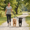Correa De Paseo Doble Para Mascotas Correa De Paseo Doble Para Mascotas