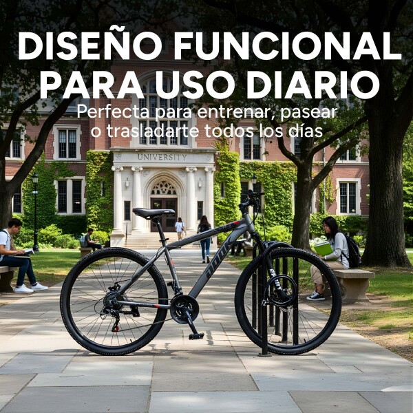 Bicicleta Jook Montaña Rod 29 Freno Disco 21 Velocid Shimano Color Gris