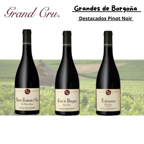 Grandes de Borgoña Grandes de Borgoña