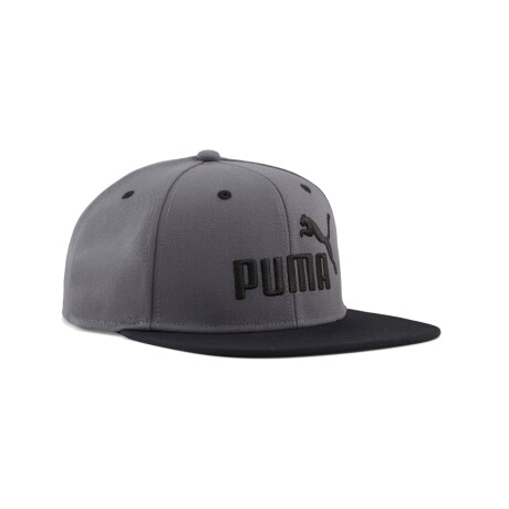 Gorra Puma Essentials N°1 Flat Brim 04