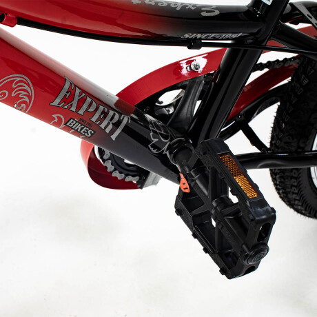 Bicicleta R20 C/ Cambios, Suspensión, Freno De Disco El Rey Rojo