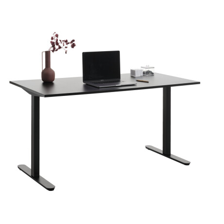 Escritorio STAUNING 80x160 negro Negro