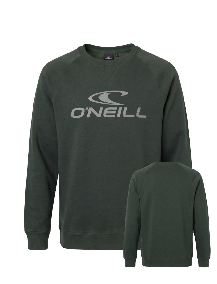 Buzo O'Neill Daily Wave Crewneck - Verde 