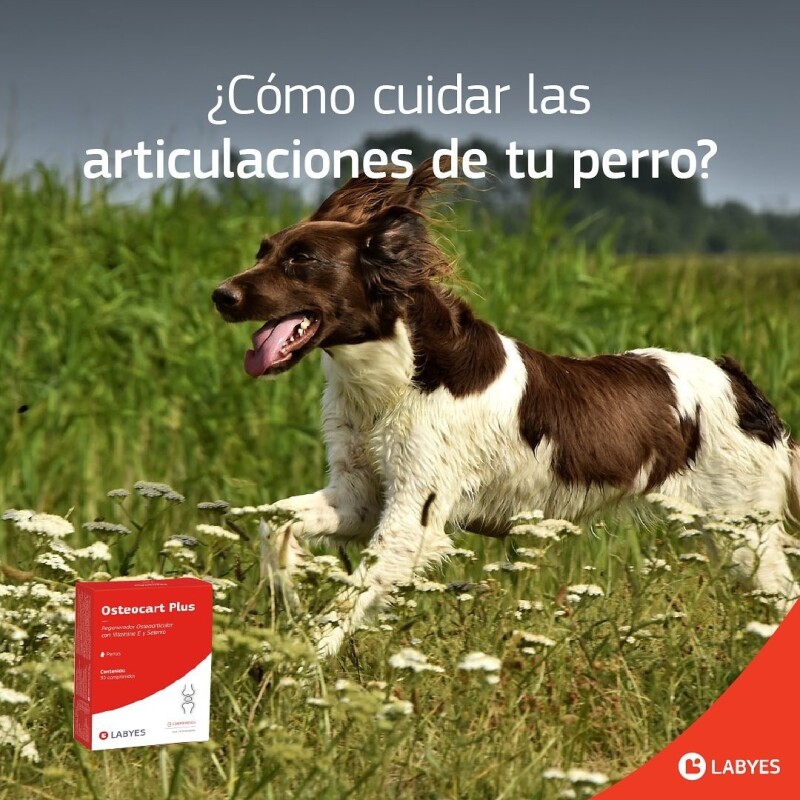 OSTEOCART PLUS X CAJA DE 30 COMPRIMIDOS