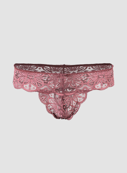 Colaless aster Rosado