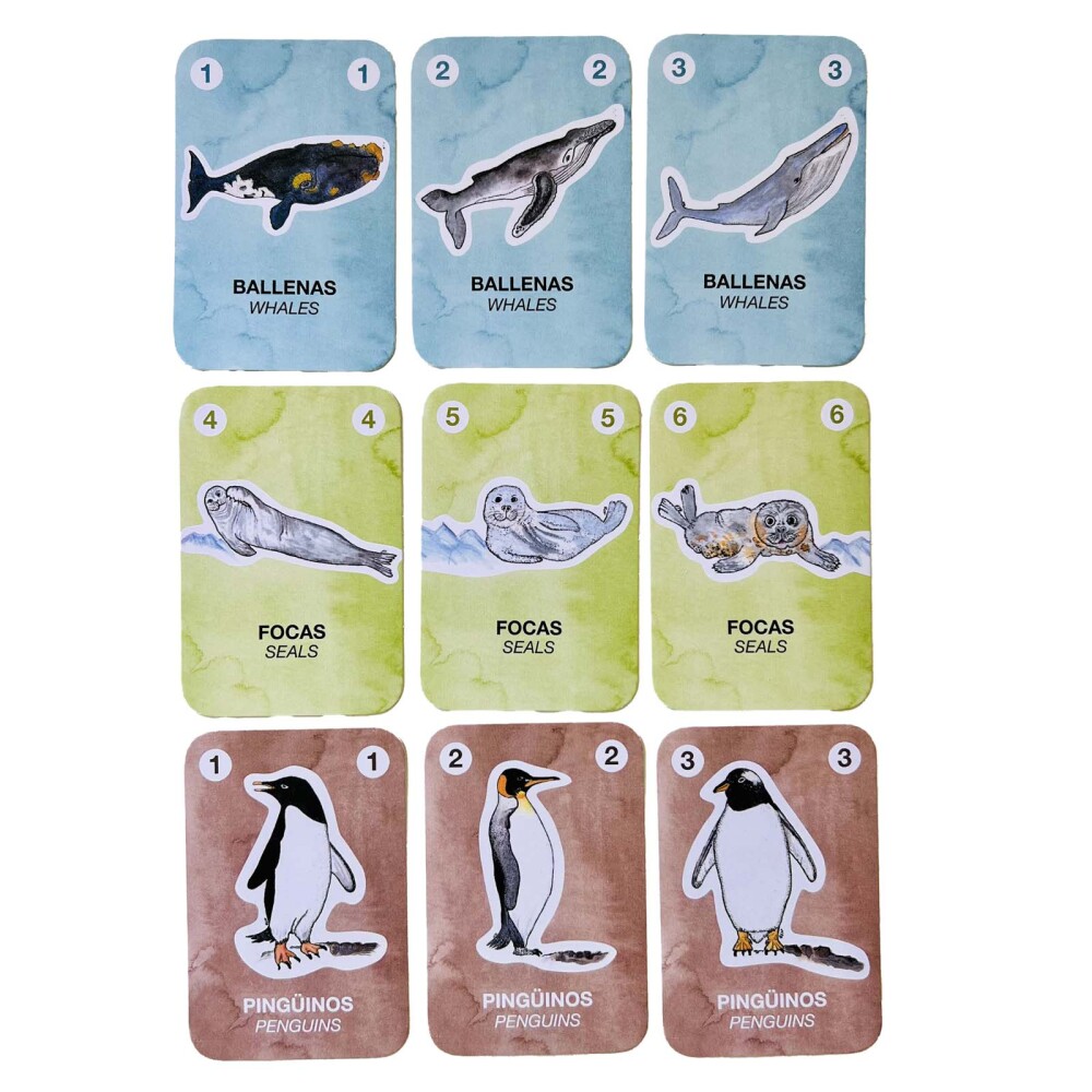 CARTAS CARTON ANTÁRTIDA AL RESCATE