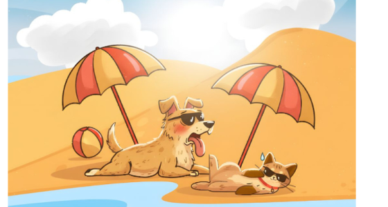 Golpe de calor en mascotas