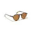 Moscot Miltzen Classic Havana