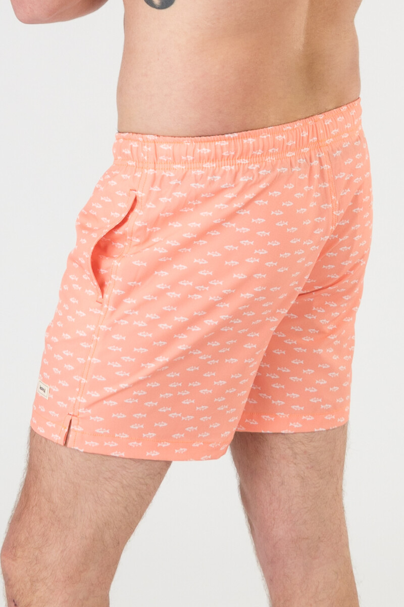 Short 4way stretch Coral reef