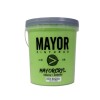 PINTURA INTERIOR EXTERIOR COLOR MAYOR 4LT MAYORCRYL Verde Manzana