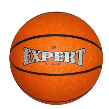 Aro Basketball Niño N°5 Mini Basket + Red + Pelota! Bkt003001