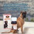 ADIENRO PET`S 150 MG X FRASCO DE 10 COMPRIMIDOS ADIENRO PET`S 150 MG X FRASCO DE 10 COMPRIMIDOS
