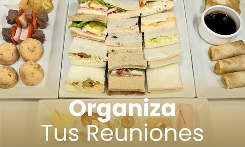 Organiza tus Reuniones