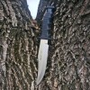 Cuchillo Muela 95-181 – Hoja de 18 cm Cuchillo Muela 95-181 – Hoja de 18 cm