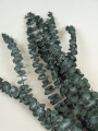 Deco Floral Eucalyptus, Seco Color Unico