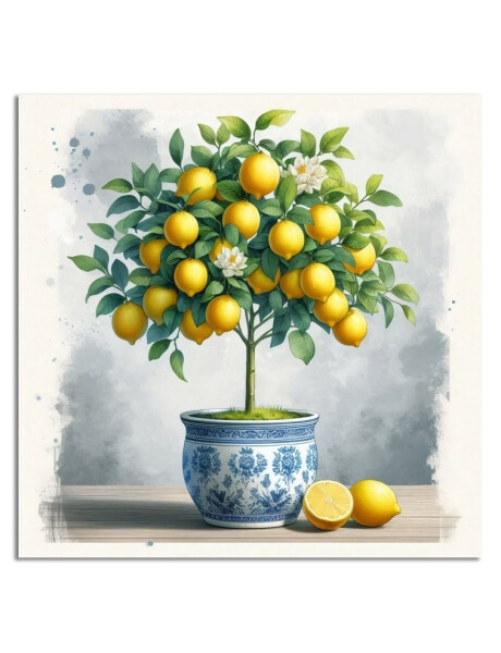 CUADRO CANVAS 30x30cm LIMONES 1 CUADRO CANVAS 30x30cm LIMONES 1