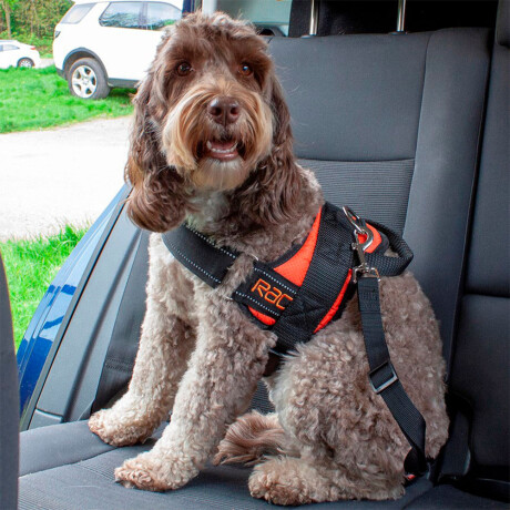 SEGURIDAD VIAL - CINTURON 47-70 CM MASCOTA REGLAMENTARIO - SEGURIDAD VIAL - CINTURON 47-70 CM MASCOTA REGLAMENTARIO -