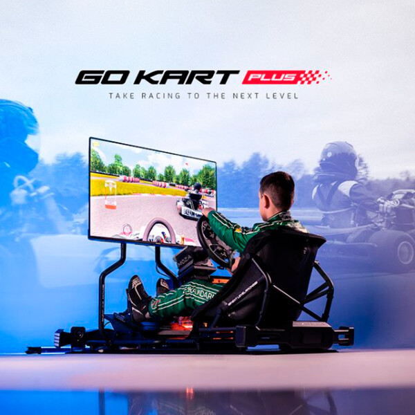 Simulador Cockpits De Carrera Go Kart Plus Racing Cockpits SIMULADOR NEXT LEVEL KART NLRS034