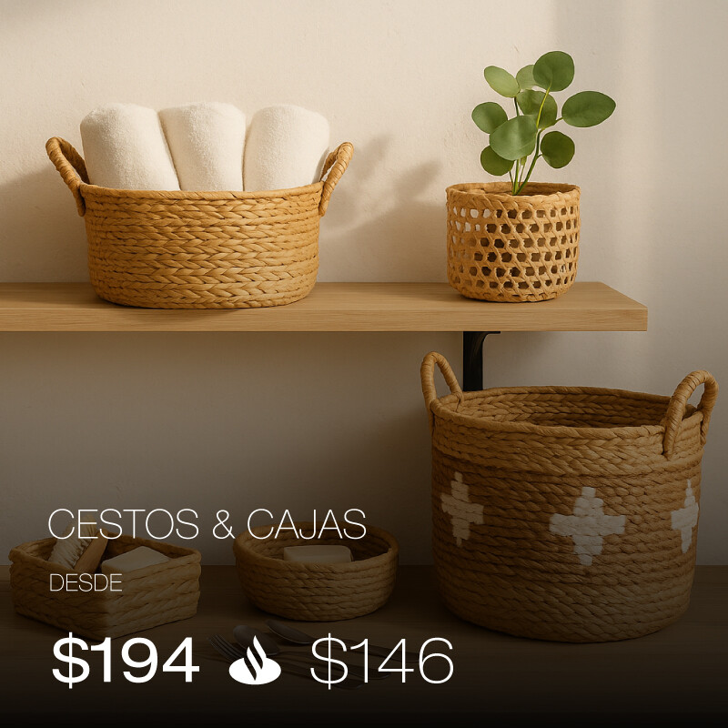 Cibershopping cestos landing