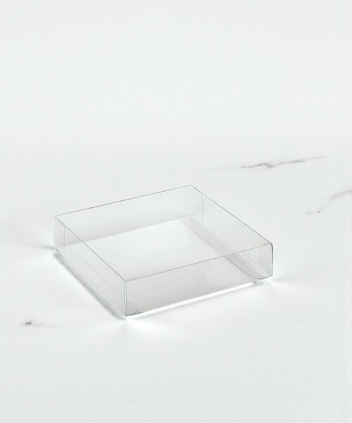 Estuche transparente 20x15x4 cm. - TRANSPARENTE Estuche transparente 20x15x4 cm. - TRANSPARENTE