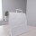 Bolsa lisa acuario 30x12x32 cm BLANCO