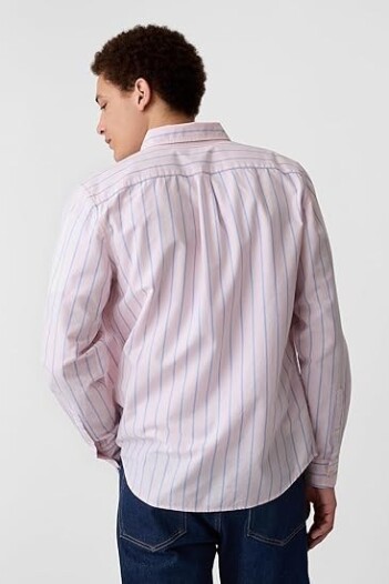 Camisa Standard Oxford Hombre Pink Blue Stripe