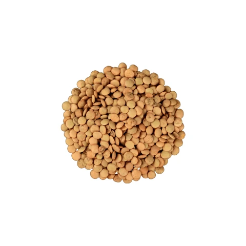 LENTEJON 500G Lentejon 500g